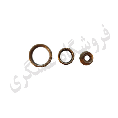 بوش استارت پژو 405